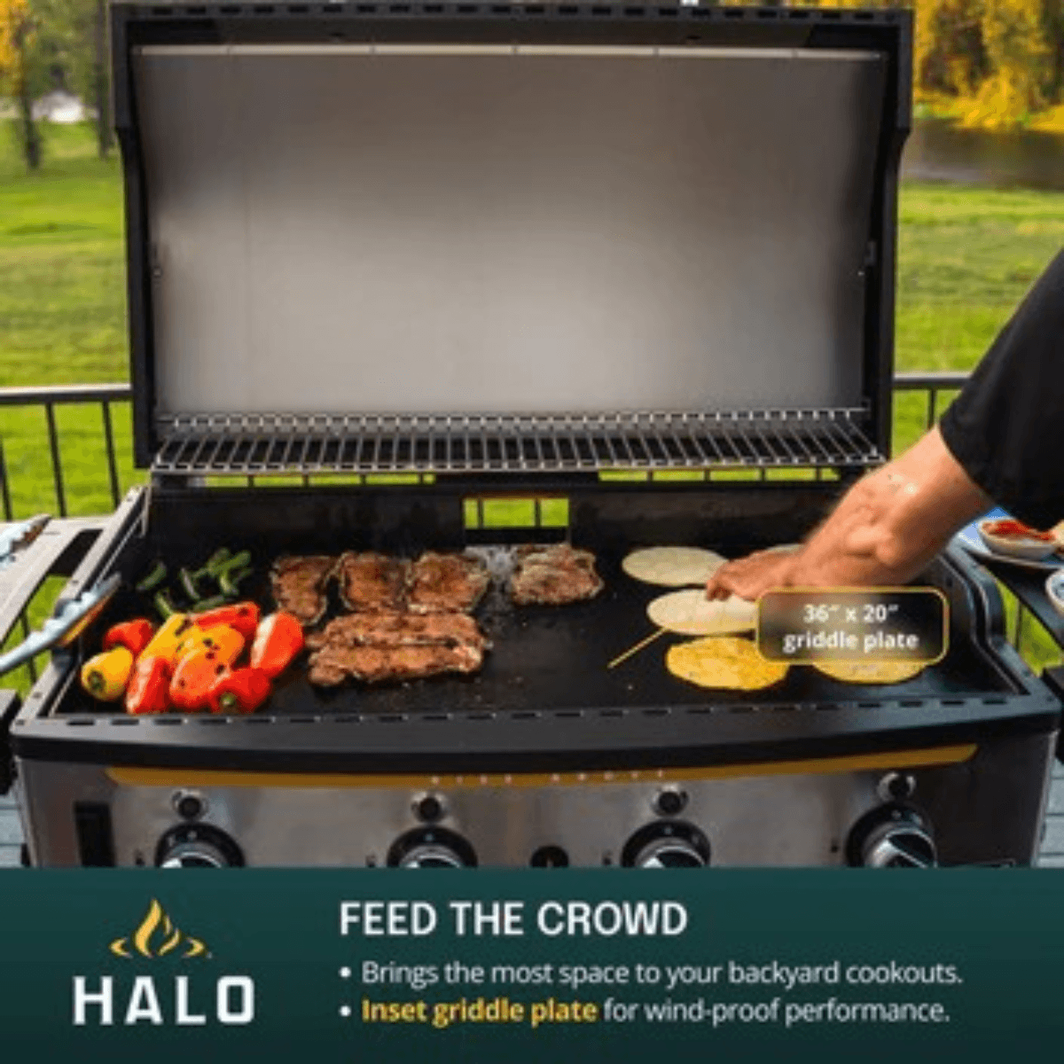 Halo Elite4B Griddle cooking surface preparing burgers, vegetables and tortillas on the large 36 x 20 inch griddle plate.